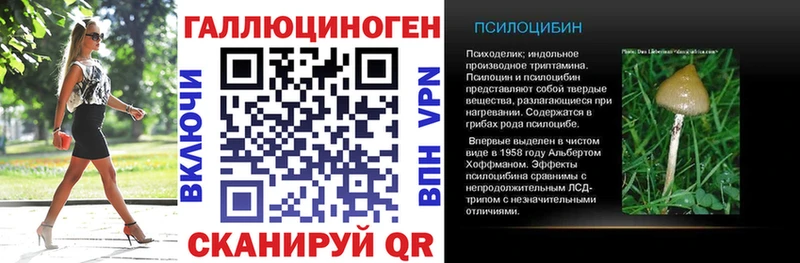 Псилоцибиновые грибы мицелий  OMG tor  Еманжелинск 